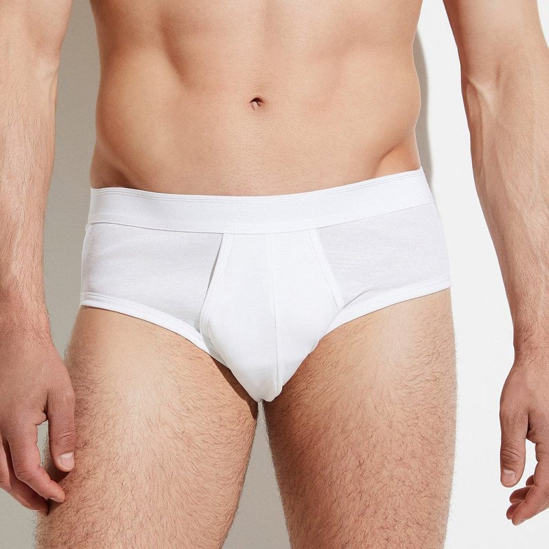 Wedgefly Brief